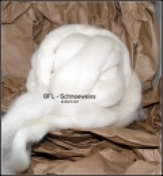 Blue Faced Leicester (BFL) Weiss Schneekatze